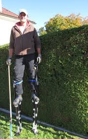 Wann lässt das gesetz das zu? Heckenschneiden Thema Auf Meinbezirk At