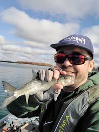 More wind and more big walleyes