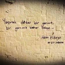 Yaprak Doker Bir Yanimiz Bir Yanimiz Bahar Bahce Hasan Huseyin Spruche Zitate Zitate Spruche