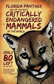 Pin On Endangered Species
