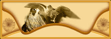 Maybe you would like to learn more about one of these? Ù…Ù†ØªØ¯ÙŠØ§Øª Ø¹ÙŠØ§Ù„ Ø²Ø§ÙŠØ¯