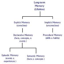 Long Term Memory Chart Human Memory Memories Declarative
