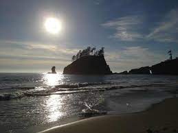 The area around la push is also home to a pack of human friendly werewolves in stephenie meyer's twilight books. Second Beach La Push Wa Picture Of Second Beach Trail Olympic National Park Tripadvisor