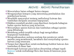 Pemeliharaan dan pemuliharaan alam sekitar punca. Pemeliharaan Dan Pemuliharaan Stadium