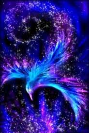 Fantasy Stars And Sky Bird By Opal Phoenix Wallpaper Fantasy Star Phoenix Bird