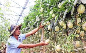 Thi thể nữ sinh nổi giữa hồ nước học viện nông nghiệp việt nam. Nong Nghiá»‡p Thich á»©ng Vá»›i Biáº¿n Ä'á»•i Khi Háº­u Bao Nhan Dan