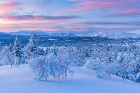 Winter landscape wallpaper Images - Free Download on Freepik