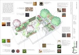 Image result for Ctenitis cirrhosa