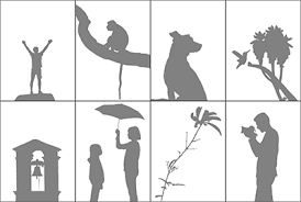 First let's open up the image trace window by going to window > image trace. Illustrator I Exercise 4 Pen Tool Renderings