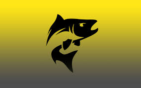 Fiskerapporter Sommarborren 2024