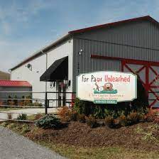 Uncover why four paws pet resort is the best company for you. For Paws Unleashed Home Facebook