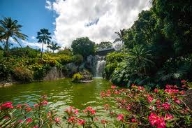 Jardin Botanique De Deshaies En Guadeloupe Jardin Botanique Deshaies Jardin Botanique Deshaies