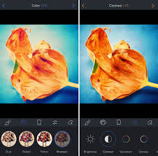Cover every inch of the canvas and you end up with a more complete piece. 5 Best Painting Apps That Turn Your Iphone Photos Into Paintings