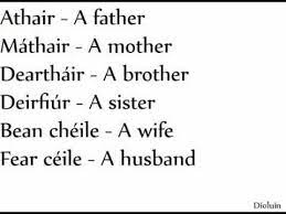 Seo daoibh ár dtreoireacha do fhoghraíocht a mbainimid áis astu inár réamhrang. Easy Irish Gaeilge Lesson 1 15 People Youtube