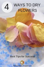 Freeze dried flowers in resin. Drying And Preserving Flowers For Resin How To Preserve Flowers Freeze Dried Flowers Dried Flowers