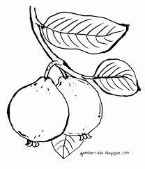 Mewarnai gambar vas bunga pewarna h. Download 76 Gambar Buah Buahan Hitam Putih Yang Mudah Terbaru Gratis