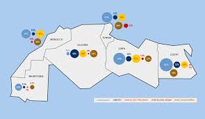 Image result for Crotonogynopsis australis