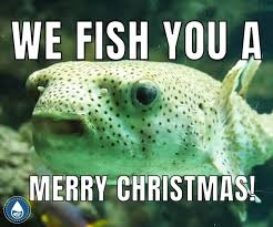 Share the best gifs now >>>. 173 Clever And Funny Fish Puns