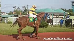 1999年 の クラシック 三強を 皐月賞 馬 テイエムオペラオー ・ 菊花賞 馬 ナリタトップロード とともに形成した ダービー 馬 。. ãƒœã‚¯ã‚¤ã‚±ãƒ¡ãƒ³ ç«¶èµ°é¦¬ãƒ‡ãƒ¼ã‚¿ Netkeiba Com