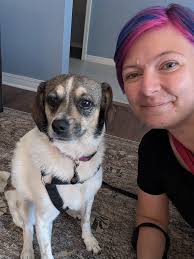 Australian Shepherd mix for adoption in Los Angeles