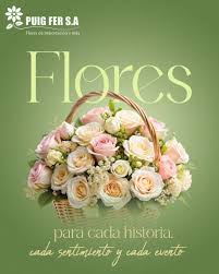 TROPICAL EXPRESS C.A.