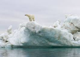 Resultado de imagen de cambio climático