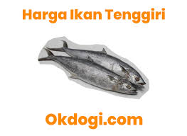 Senarai harga diatas tidak termasuk upah melipat hihi. Harga Ikan Rohu Sekilo Harga Ikan Kembung Naik Jadi Rp 35 Ribu Kg Ini Penyebabnya