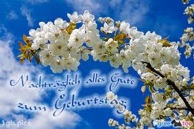 Nachtragliche Verspatete Geburtstagsgrusse Bilder 1gb Pics