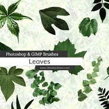 Today's post we have selected more useful free high quality photoshop. Leaves Photoshop And Gimp Brushes By Redheadstock On Deviantart