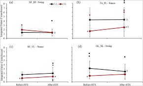 Although muscles obviously make up muscle system, there are still some supportive structures we need to look at that are also a necessary part of the system. Age Specific Modulation Of Intermuscular Beta Coherence During Gait Before And After Experimentally Induced Fatigue Scientific Reports