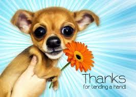 This dapper doggie is here to help you say thanks for their thoughtful birthday wishes! Flower And Puppies Thank You Card With Your Own Handwriting Salon Of Art For Signed Card No 26511