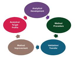 Points To Consider In Quality Control Method Validation And Transfer Bioprocess Internationalbioprocess International