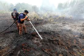 We did not find results for: Melaka Fire And Rescue Dept Monitors 12 Bush Hotspots For Fire Malaysia Malay Mail