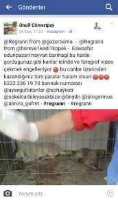Odunpazari Belediyesi On Twitter Konuyla Ilgili Eskisehir Deki Hayvan Severlerle Gorusebilir Odunpazari Nin Sokaktaki Canlar Icin Ne Kadar Hassas Oldugunu Ogrenebilirsiniz Https T Co Izxdyvwfky