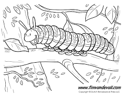 Given below is a collection of some interesting caterpillar coloring pages for you to choose from. Caterpillar Coloring Page Tim S Printables