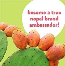 Jul 13, 2021 · how to say nopales in english? True Nopal Cactus Water Truenopal Twitter