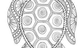 Awesome sea turtle coloring pages 2500—1969 Cute Turtle Collection For Coloring Whitesbelfast Com