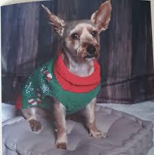 Nounou Boules De Poils