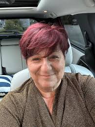 Introduction of a dental field professional