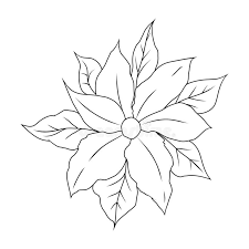 Christmas is the time for mistletoes, holly and poinsettia. Poinsettia Coloring Stock Illustrations 198 Poinsettia Coloring Stock Illustrations Vectors Clipart Dreamstime