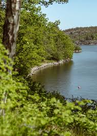Skuru basket summercamp 2021 blir d. Lovehusen Skuru Udde Castberg Co A Property Branding Agency