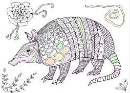 236 x 304 file type: Armadillo Coloring Adults Printable Colouring Kids Totem Etsy
