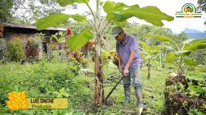 DE PRODUCTOR A PRODUCTOR