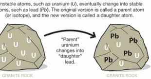 Radioactive dating is used to determine the age of fossils. A Study Zone Radioactive Dating Uranium