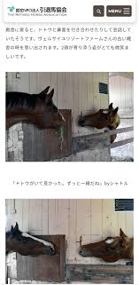 Npo法人引退馬協会は、 ヴェルサイユ リゾートファームに預託されていた、 タイキシャトル (27歳)と メイショウドトウ (25歳)が北海道新冠町の ノーザンレイ ク (代表・川越靖幸氏)に16日付けで移動したことを発表した。 æœ—å ± å¼•é€€å¾Œã®ãƒ¡ã‚¤ã‚·ãƒ§ã‚¦ãƒ‰ãƒˆã‚¦ãŒå¯æ„›ã™ãŽã‚‹ã¨è©±é¡Œã« ã‚¦ãƒžå¨˜ã†ã¾ã ã£ã¡é€Ÿå ±