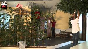 Der wind jagt sie wild durch die luft. Dekorationen Tree Design In Graz Kunstpflanzen Deko Kunstbaume Youtube
