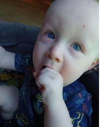 Dominic Maxwell Obituary (2021