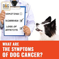 It could be that your dog ate more than they could handle or ate too fast, or your dog could knowing the root cause of your dog's vomiting is essential for finding the best solution. What Are The Symptoms Of Dog Cancer Dr Demian Dressler Q A Dog Cancer Answers Podcasts On Audible Audible Com