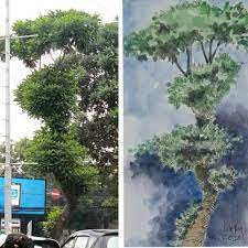 Cara cepat gambar pohon pakai pensil#gambarpohon#caracepatgambar#sketsa Pin Auf My Instagram