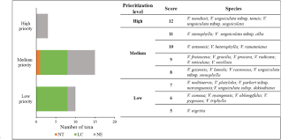 Image result for Vigna comosa